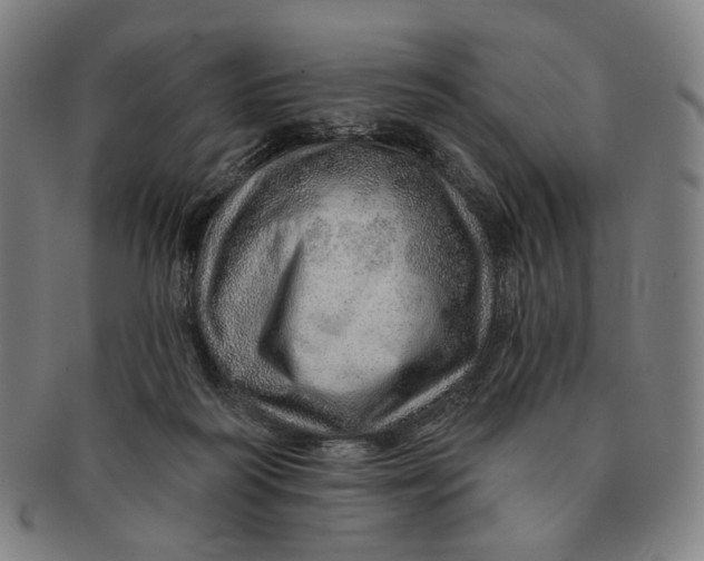 X0000091230218200708301523