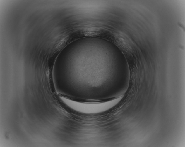 X0000091230219200708301523
