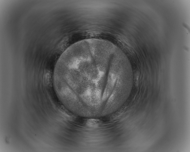 X0000091230222200708301523