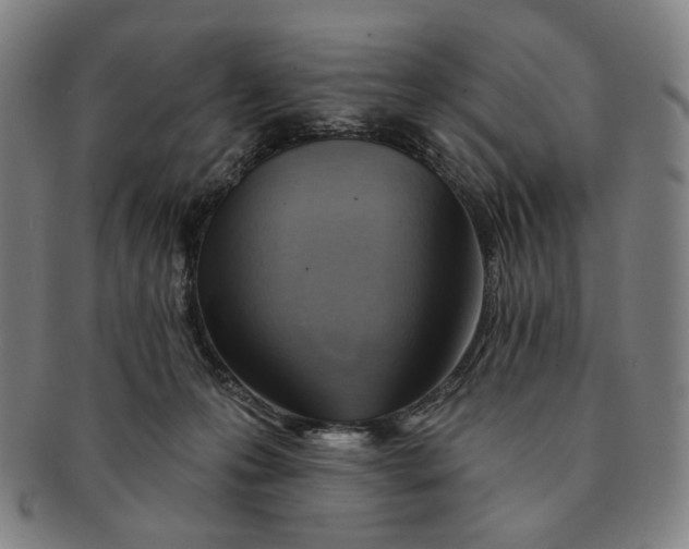 X0000091230223200708301523