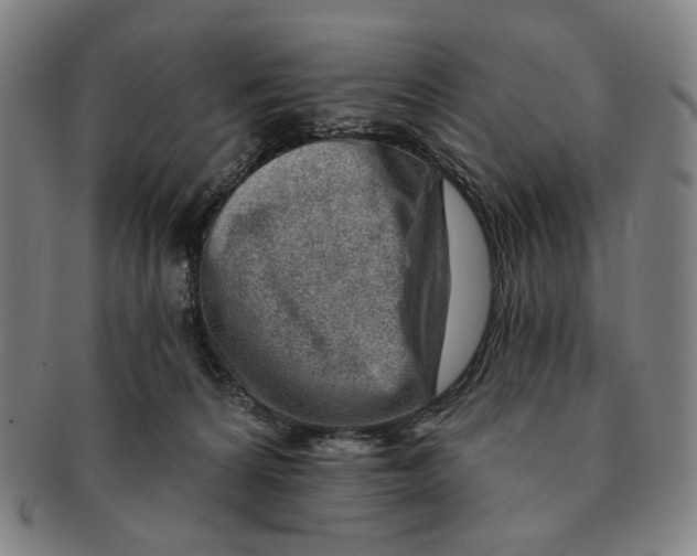 X0000091230224200708301523