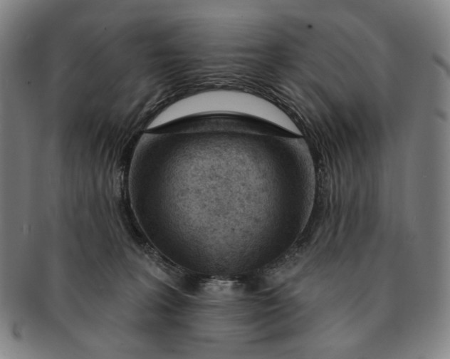 X0000091230227200708301523
