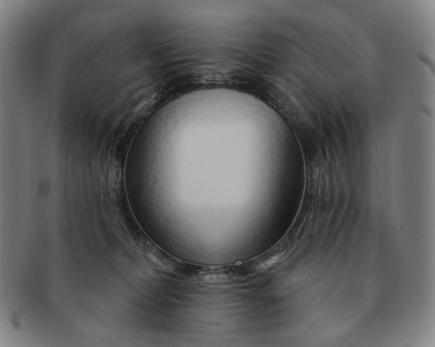 X0000091230228200708301523