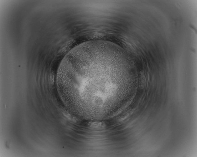 X0000091230230200708301523