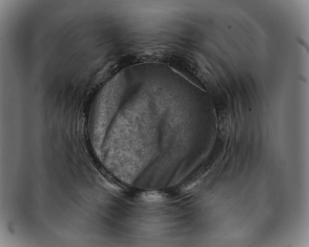 X0000091230231200708301523