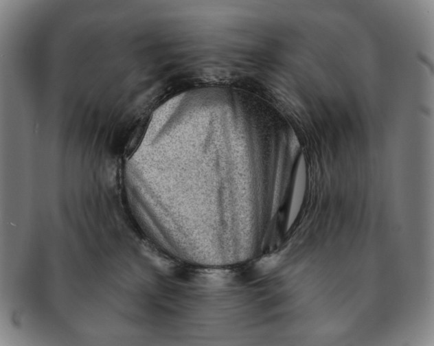 X0000091230233200708301523