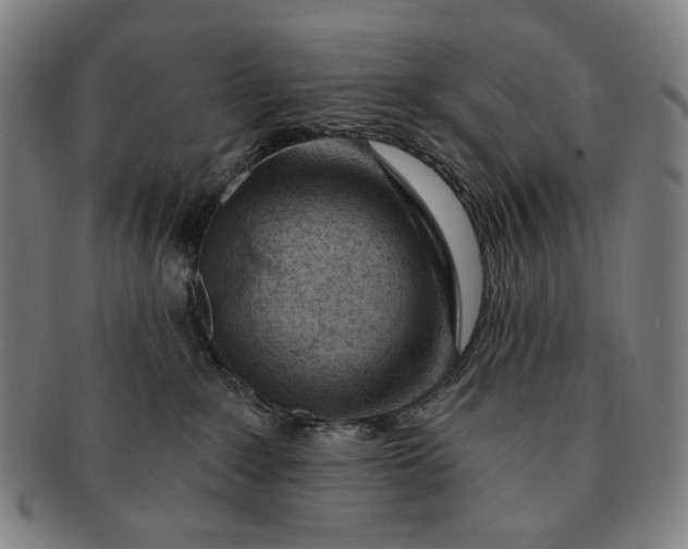 X0000091230235200708301523
