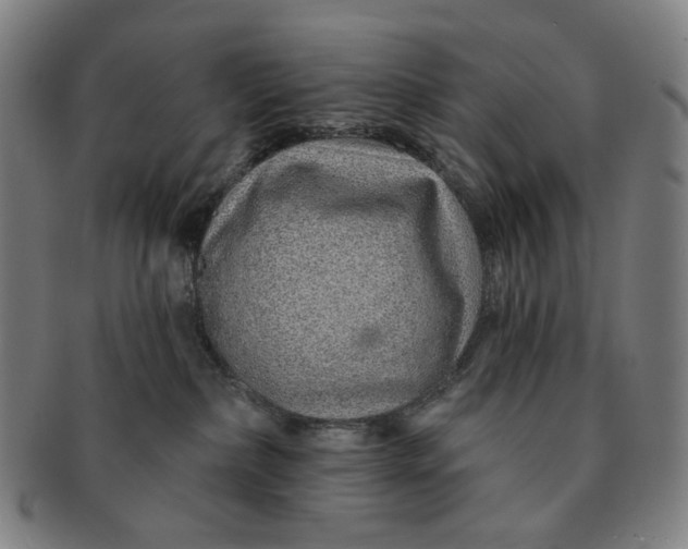 X0000091230236200708301523
