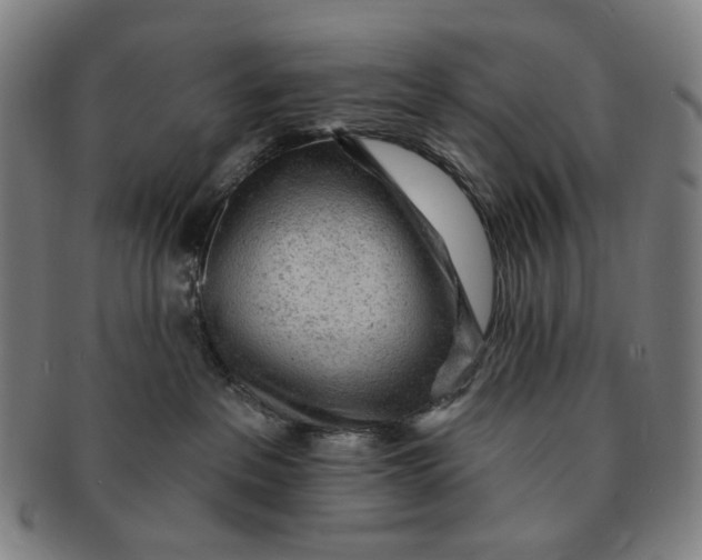 X0000091230237200708301523