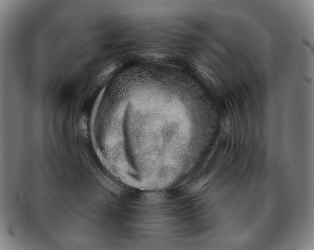 X0000091230238200708301523