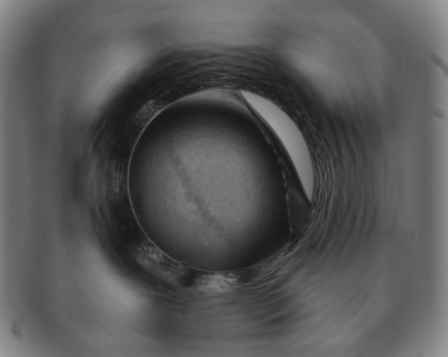 X0000091230239200708301523