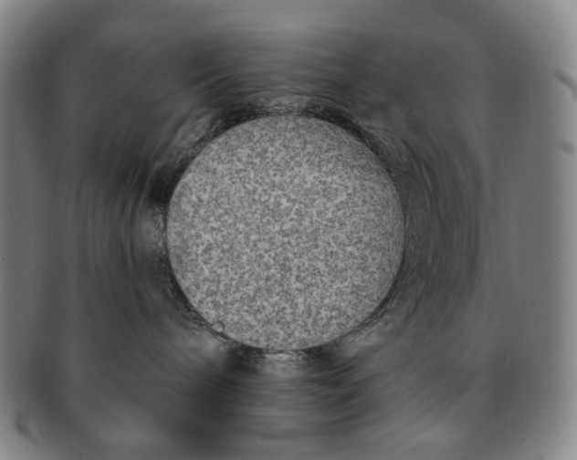 X0000091230240200708301523