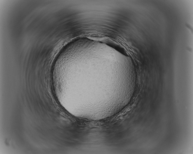 X0000091230241200708301522
