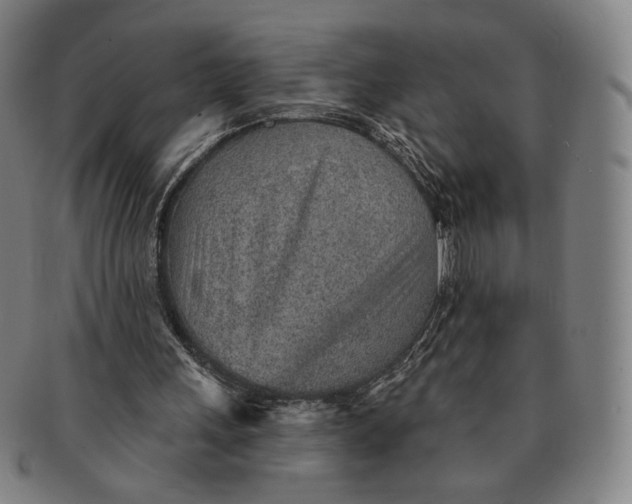 X0000091230243200708301522