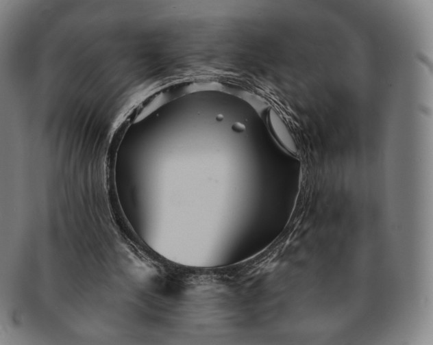 X0000091230244200708301522