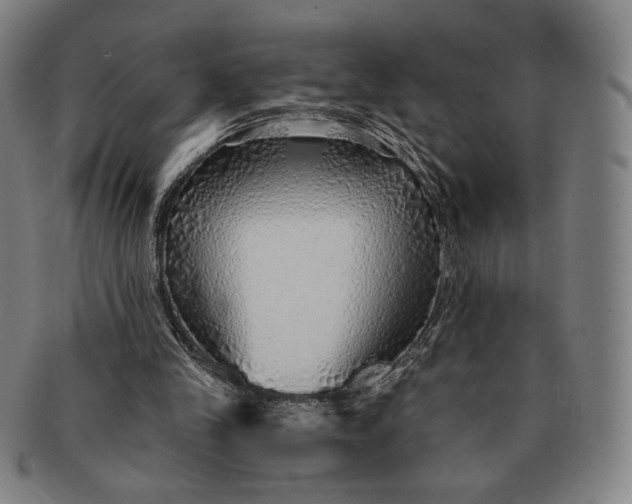 X0000091230245200708301522