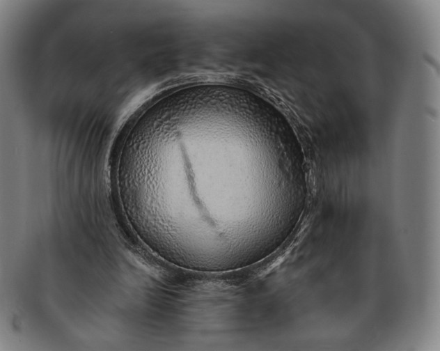 X0000091230246200708301522