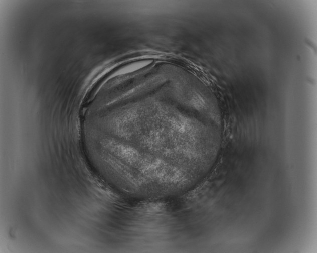 X0000091230247200708301522