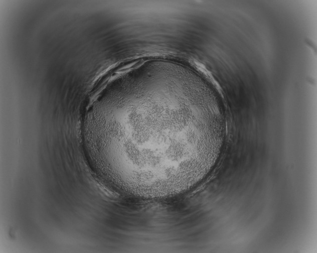 X0000091230249200708301522