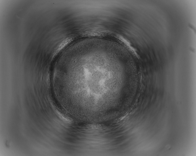 X0000091230250200708301522