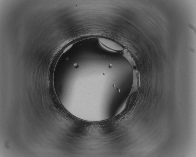 X0000091230252200708301522