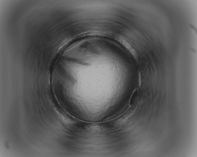 X0000091230253200708301522
