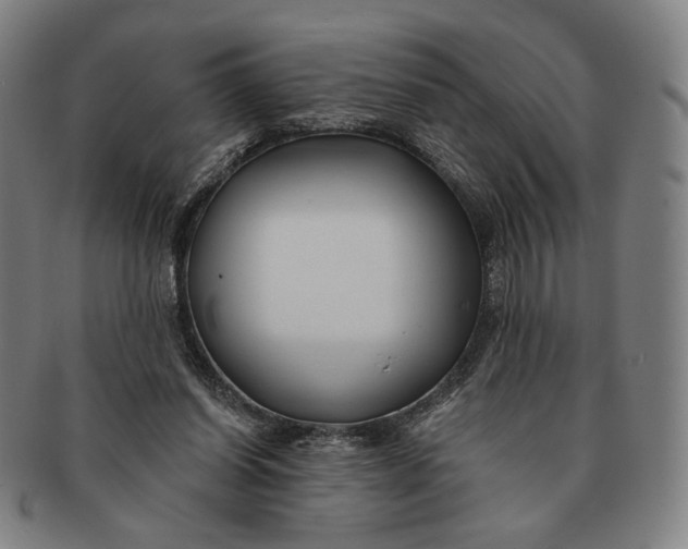 X0000091230254200708301522