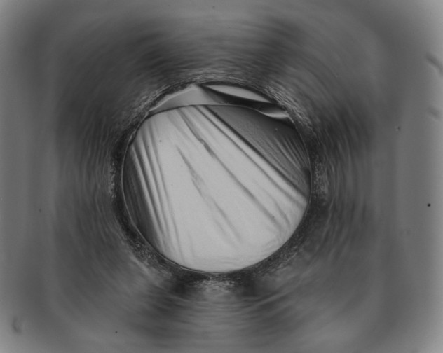 X0000091230255200708301522