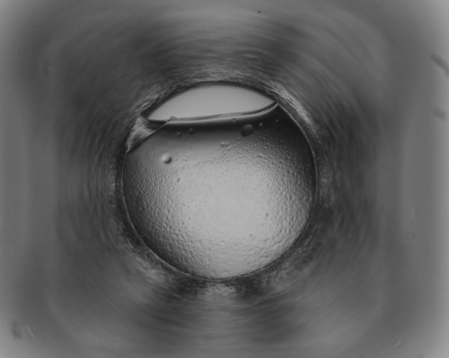 X0000091230257200708301522