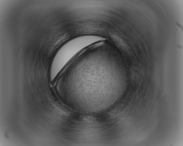 X0000091230258200708301522