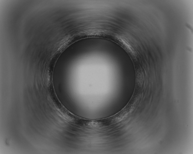 X0000091230261200708301522