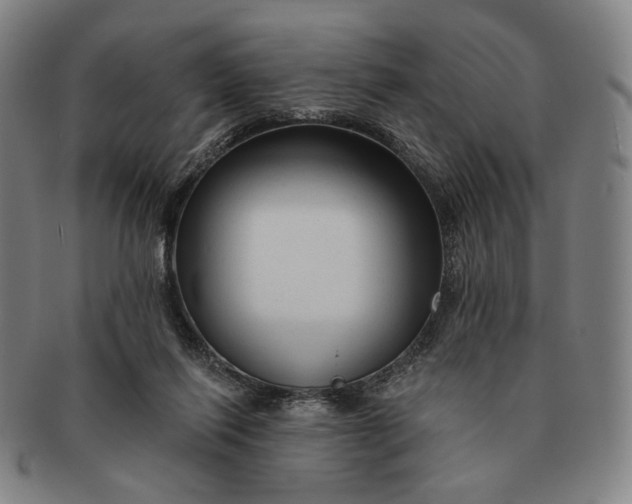 X0000091230262200708301522