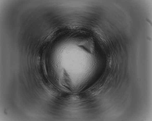 X0000091230263200708301522