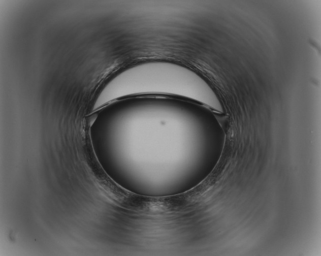 X0000091230264200708301522