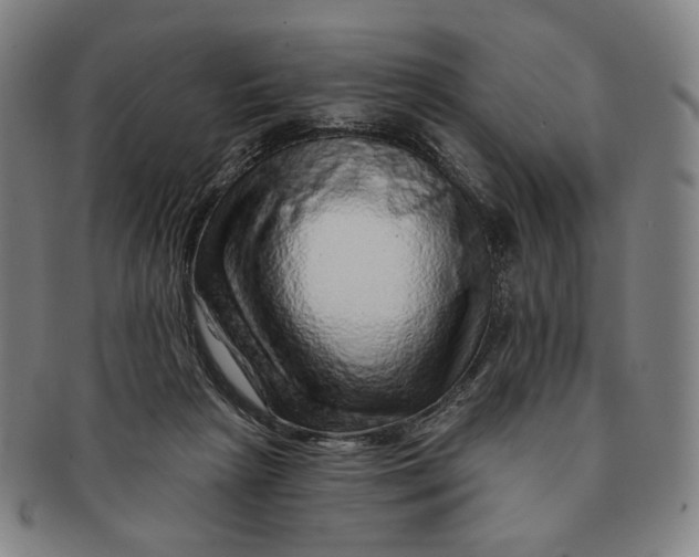 X0000091230265200708301522