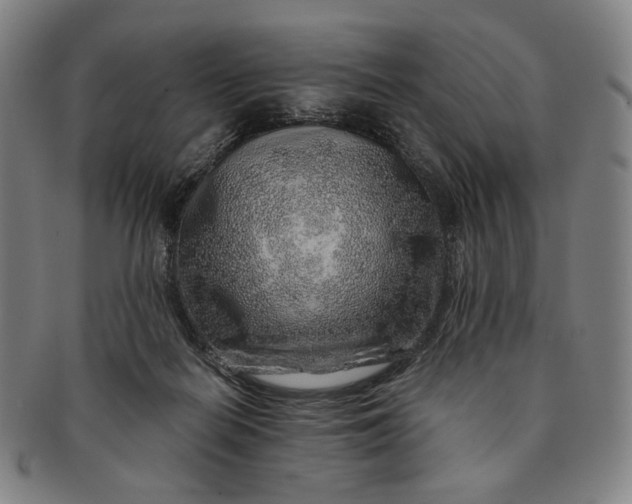 X0000091230266200708301522