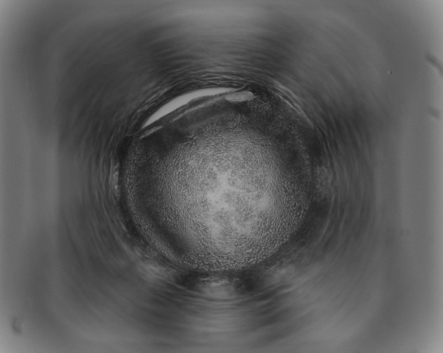 X0000091230267200708301522