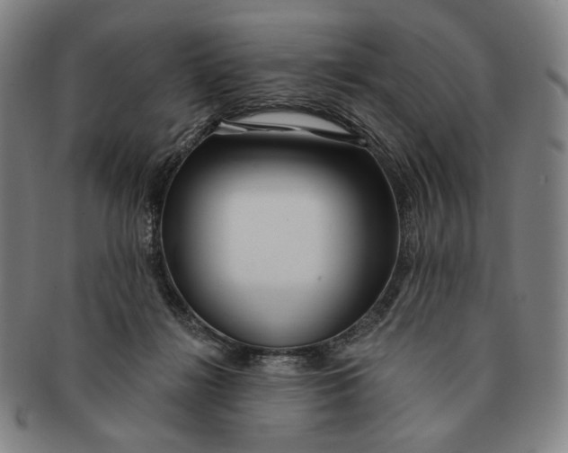 X0000091230268200708301522