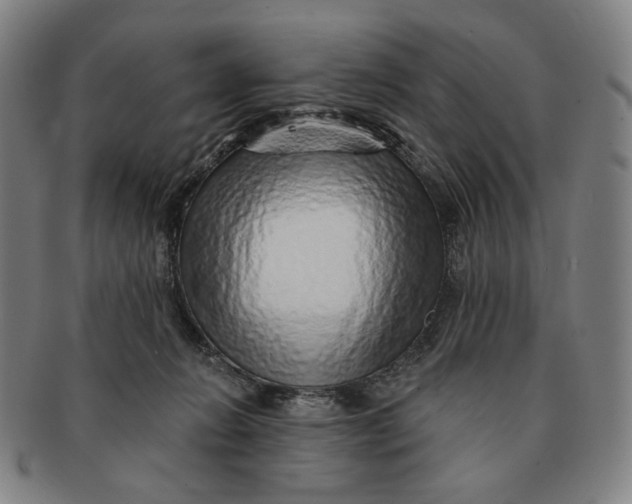 X0000091230270200708301523