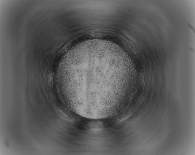 X0000091230271200708301523