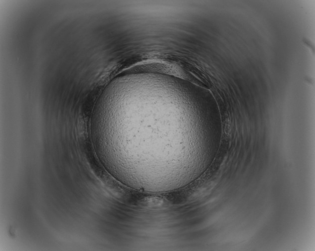 X0000091230272200708301523