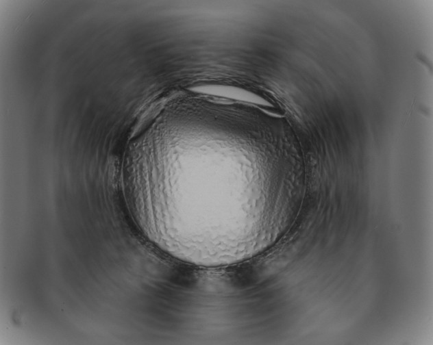 X0000091230273200708301523