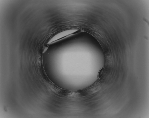 X0000091230274200708301523