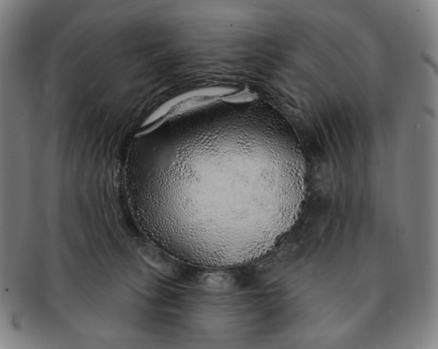 X0000091230275200708301523