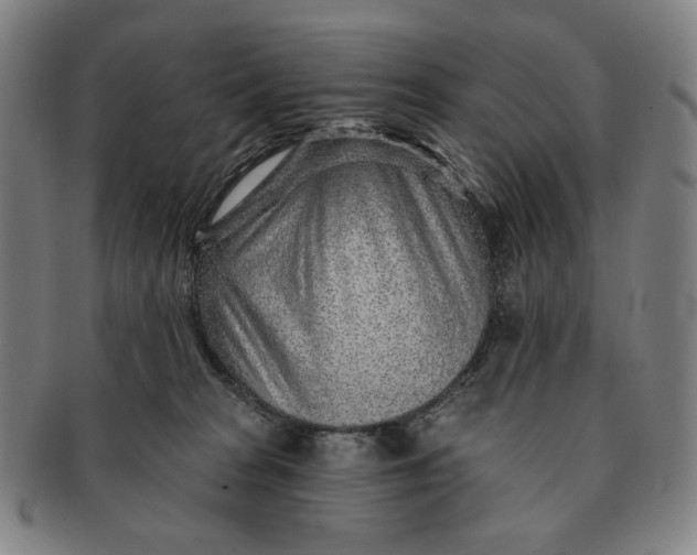 X0000091230277200708301523