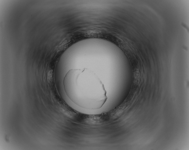 X0000091230278200708301523