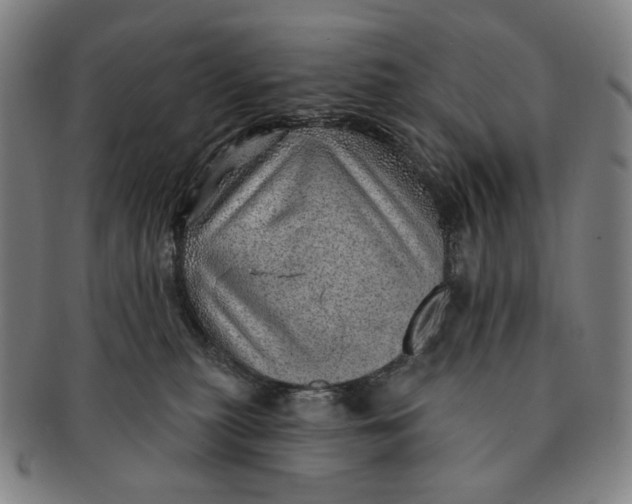 X0000091230279200708301523