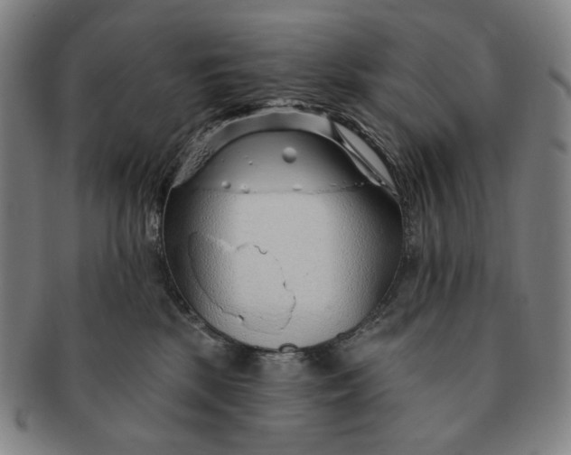 X0000091230281200708301523