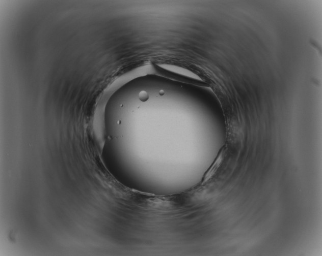 X0000091230284200708301523