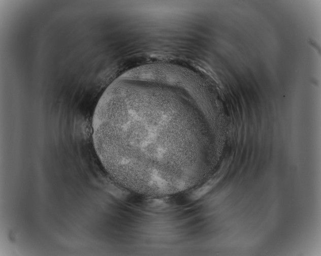 X0000091230285200708301523